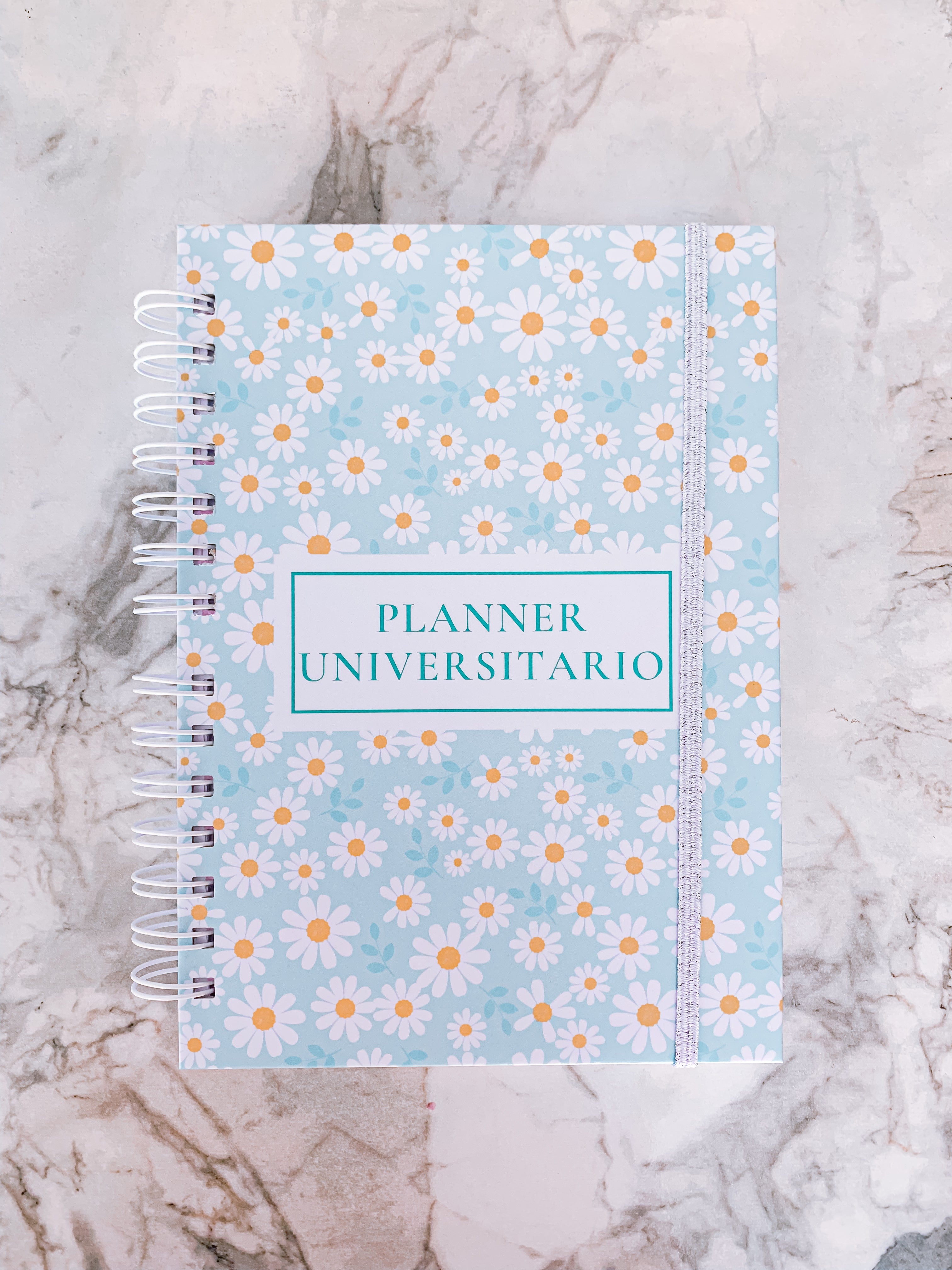 Planner Universitario Turqueza