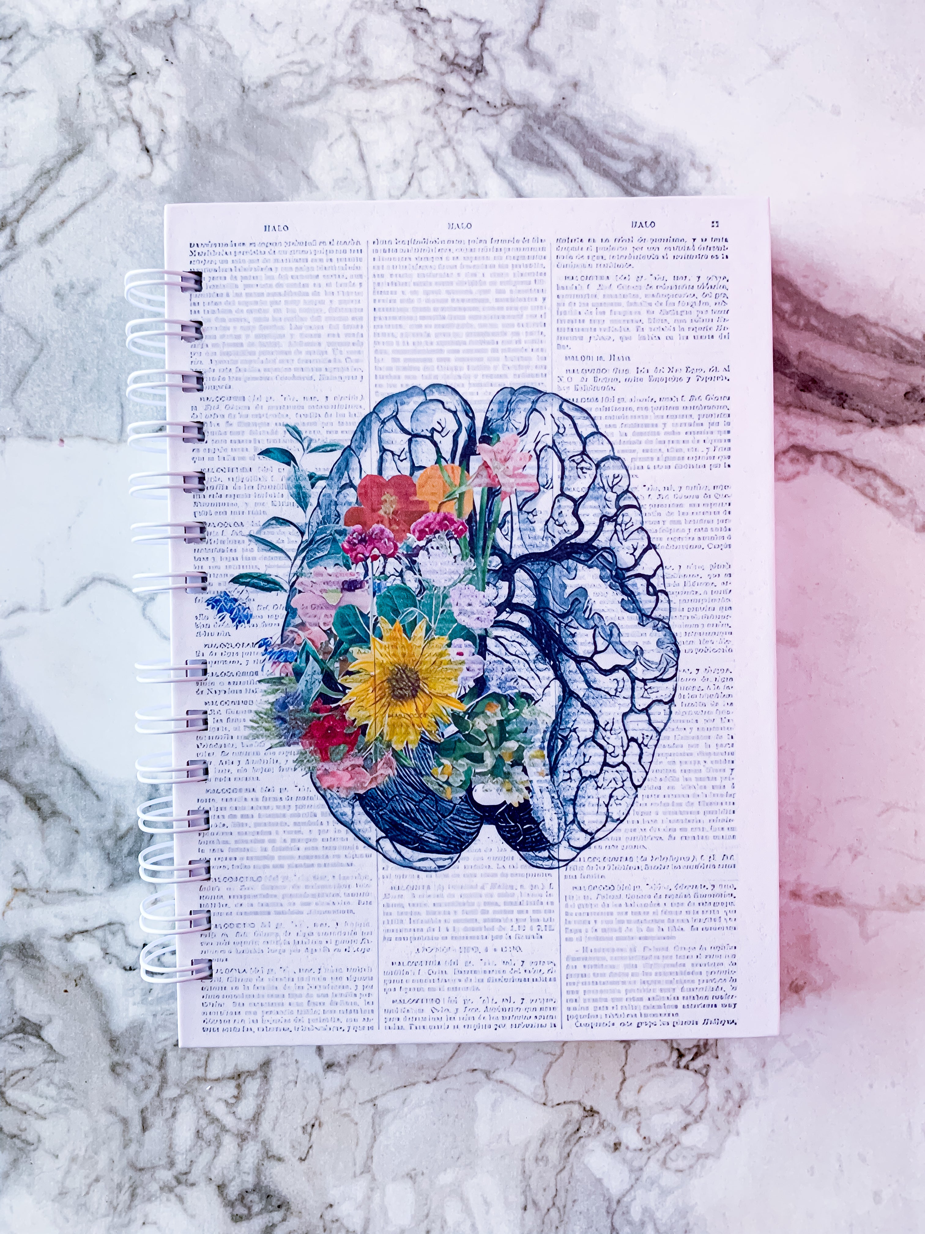 Cuaderno de Neurociencia para Colorear